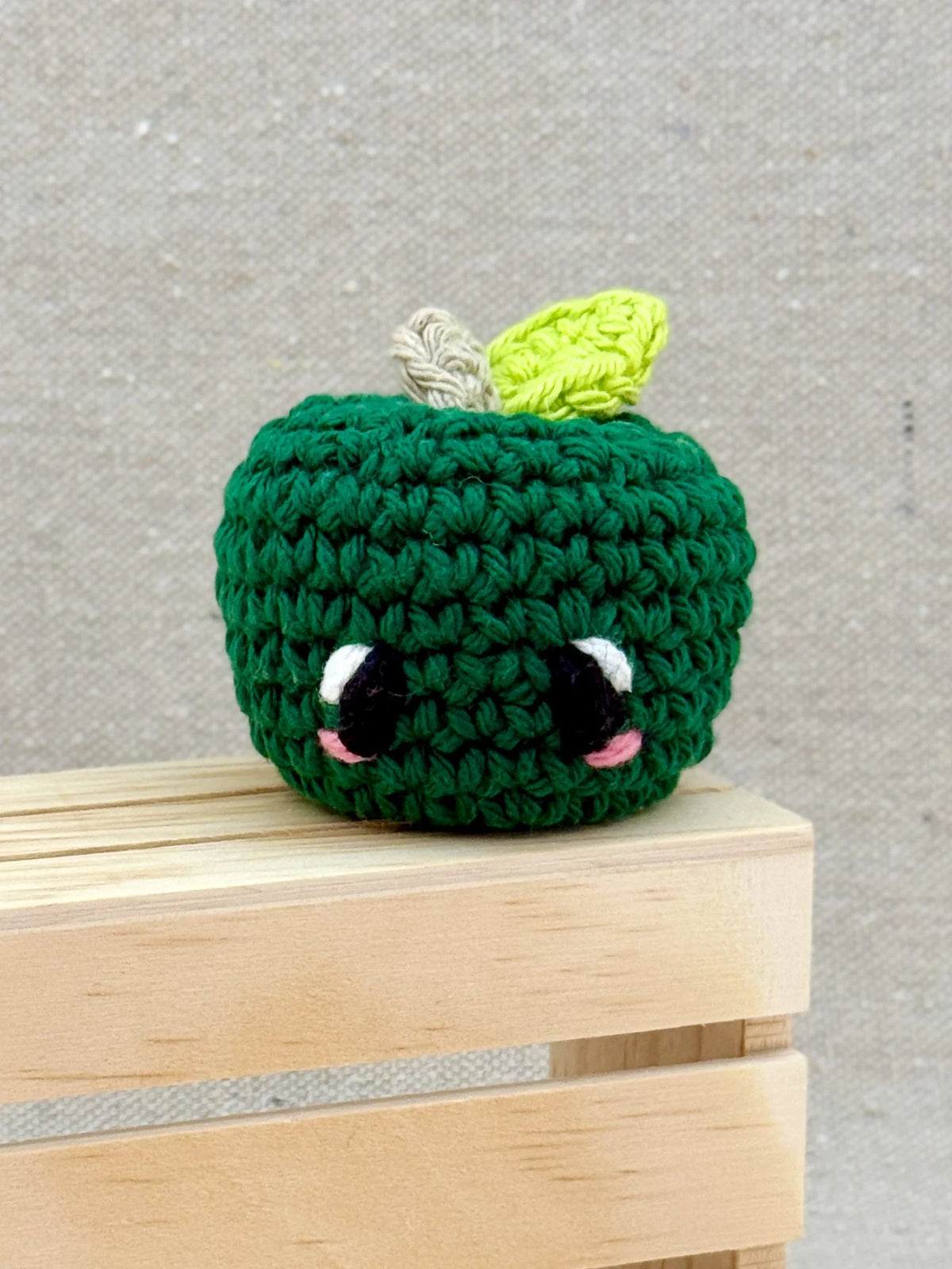 Emm and Skootch DIY Eco Friendly Crochet Kits