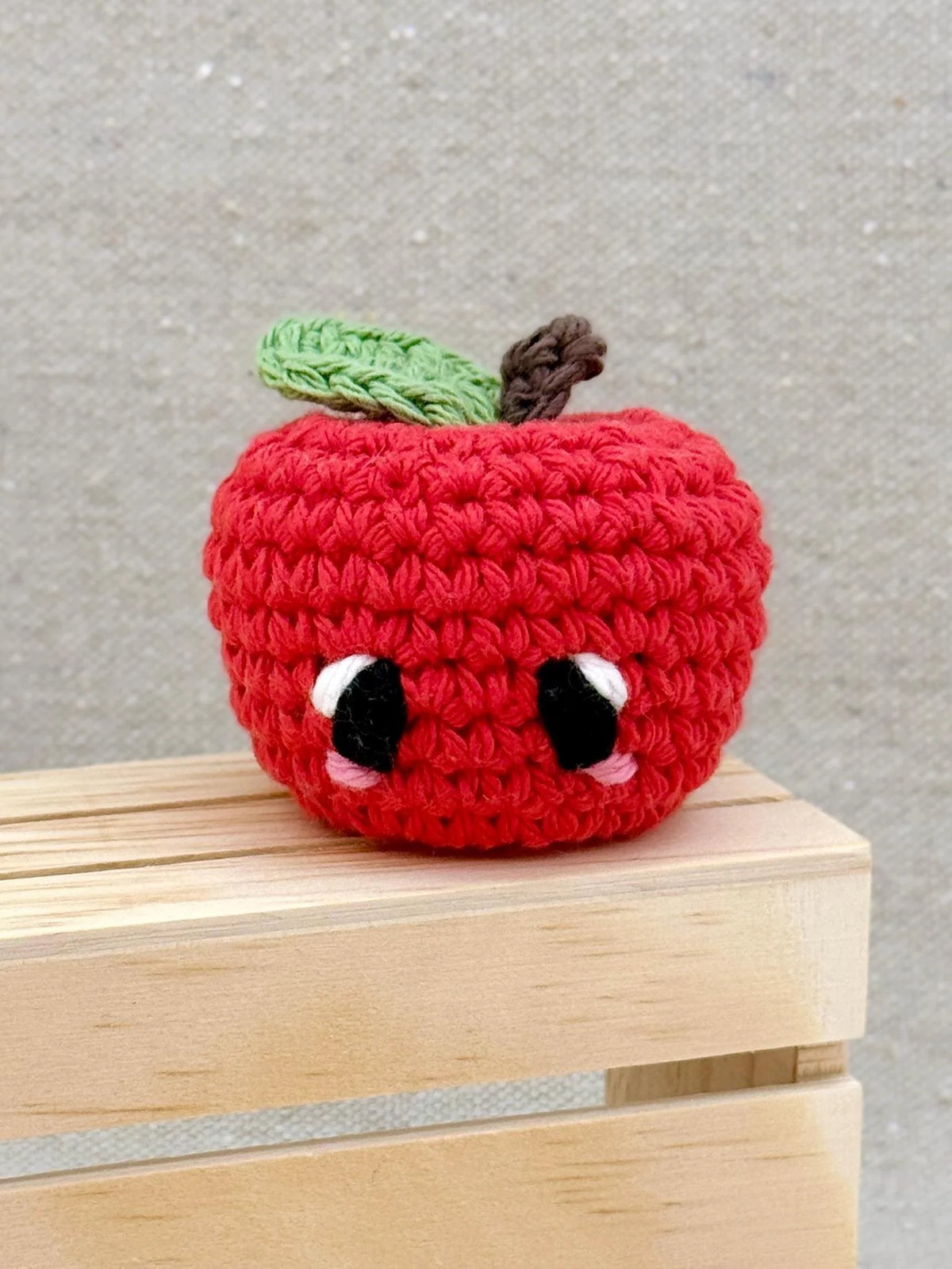 Emm and Skootch DIY Eco Friendly Crochet Kits