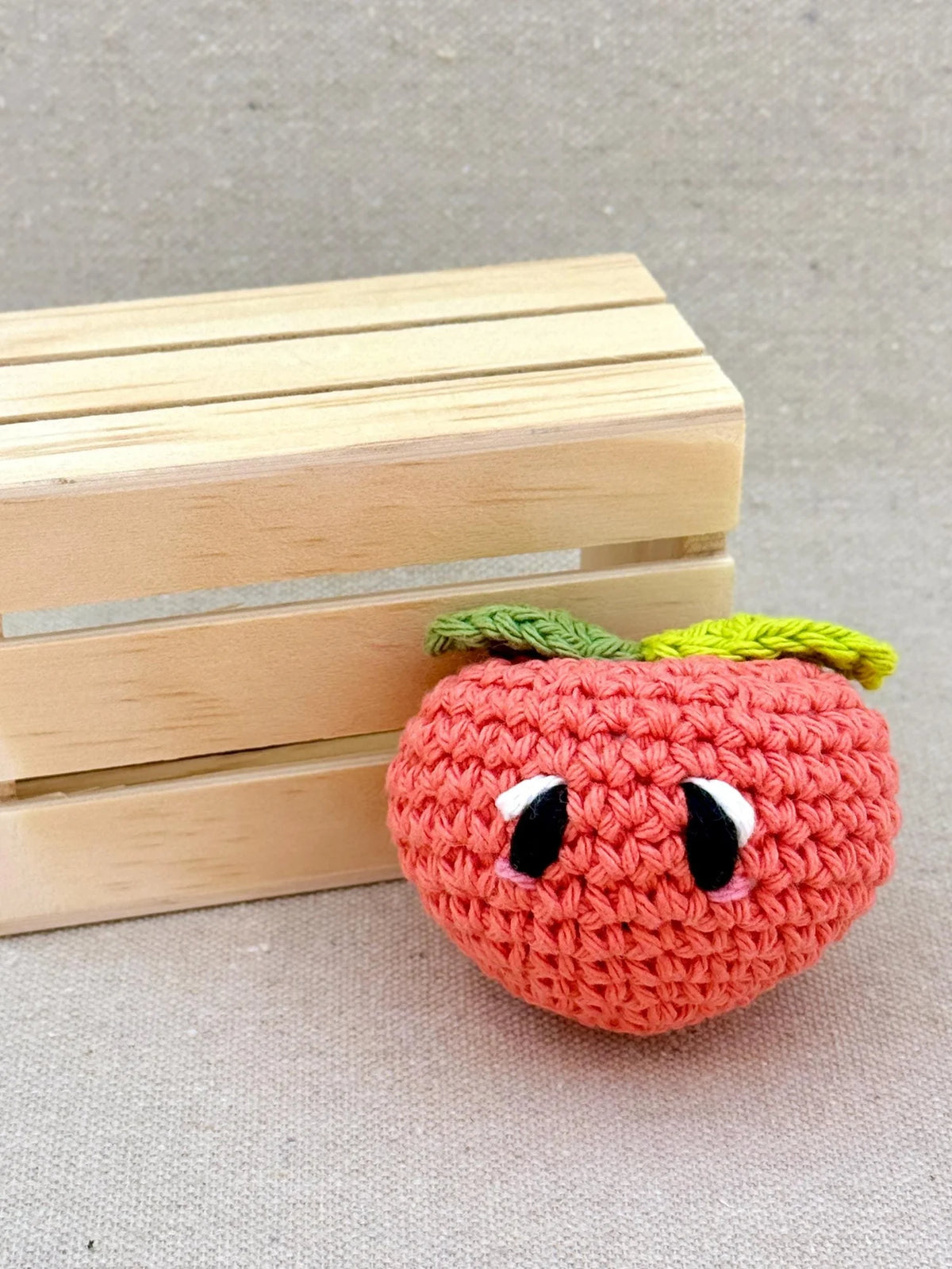 Emm and Skootch DIY Eco Friendly Crochet Kits