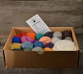 Needle Felting Wool - Mixed Color Pack