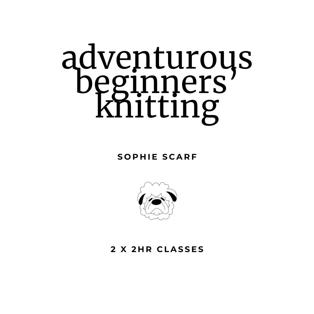 TWB's Starter Stitch Society - Adventurous Beginner's Knitting Class (Scarf)