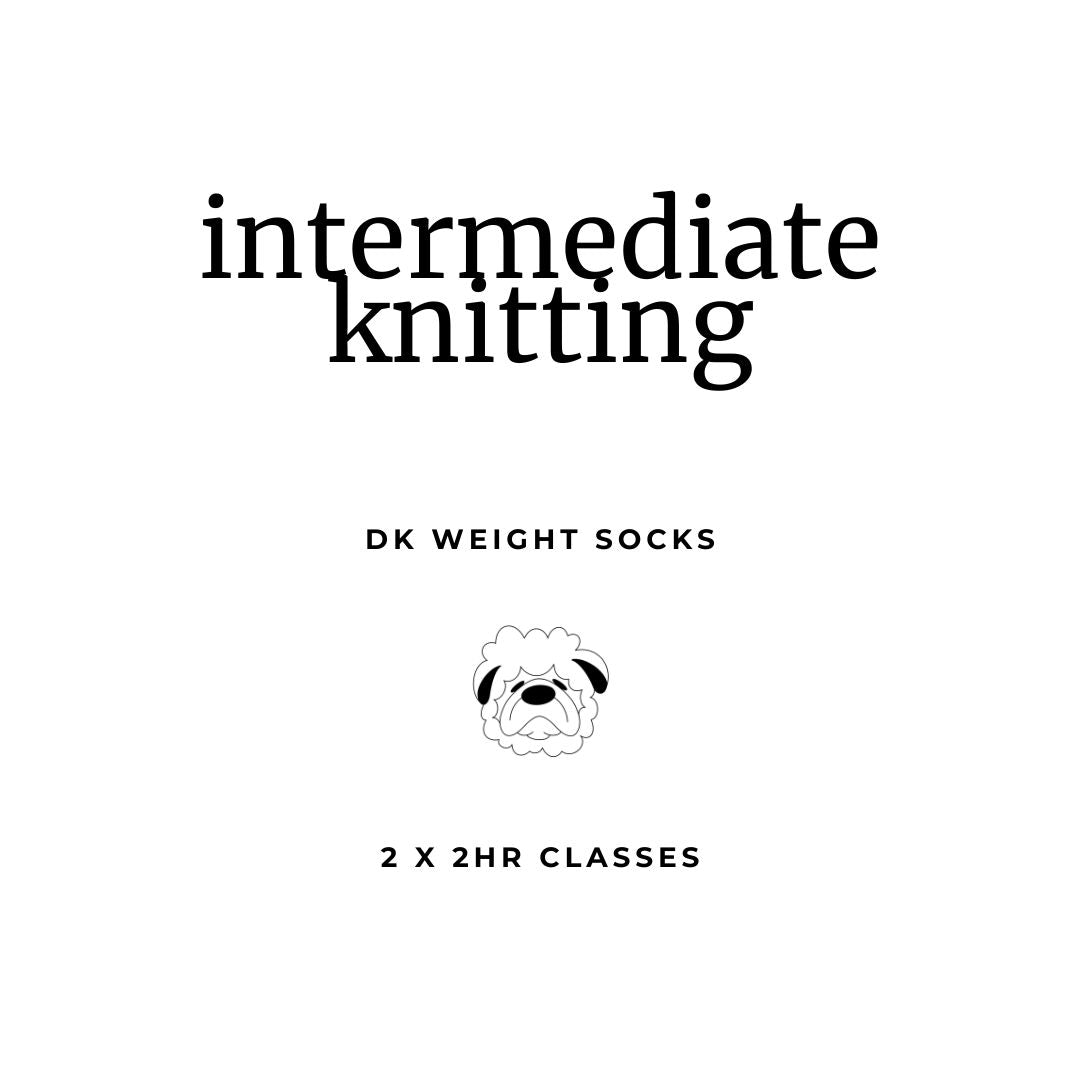 TWB's Starter Stitch Society - Intermediate Knitting Class (Socks)
