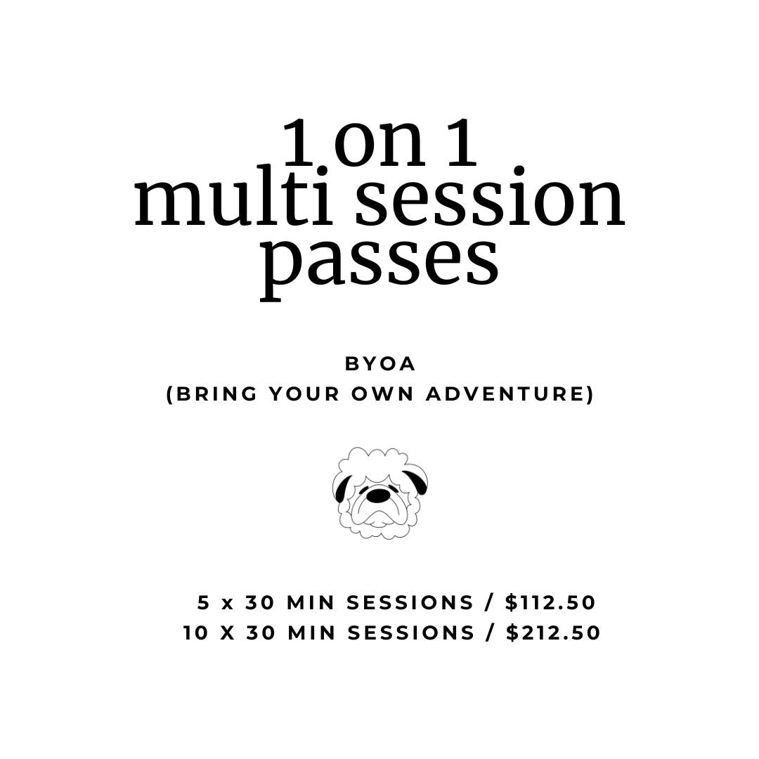 TWB's Starter Stitch Society - Multi-Session Passes
