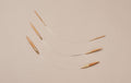 Seeknit Koshitsu Asymmetric Bamboo Circular Needle