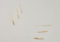 Seeknit Shirotake Asymmetric Bamboo Circular Needle