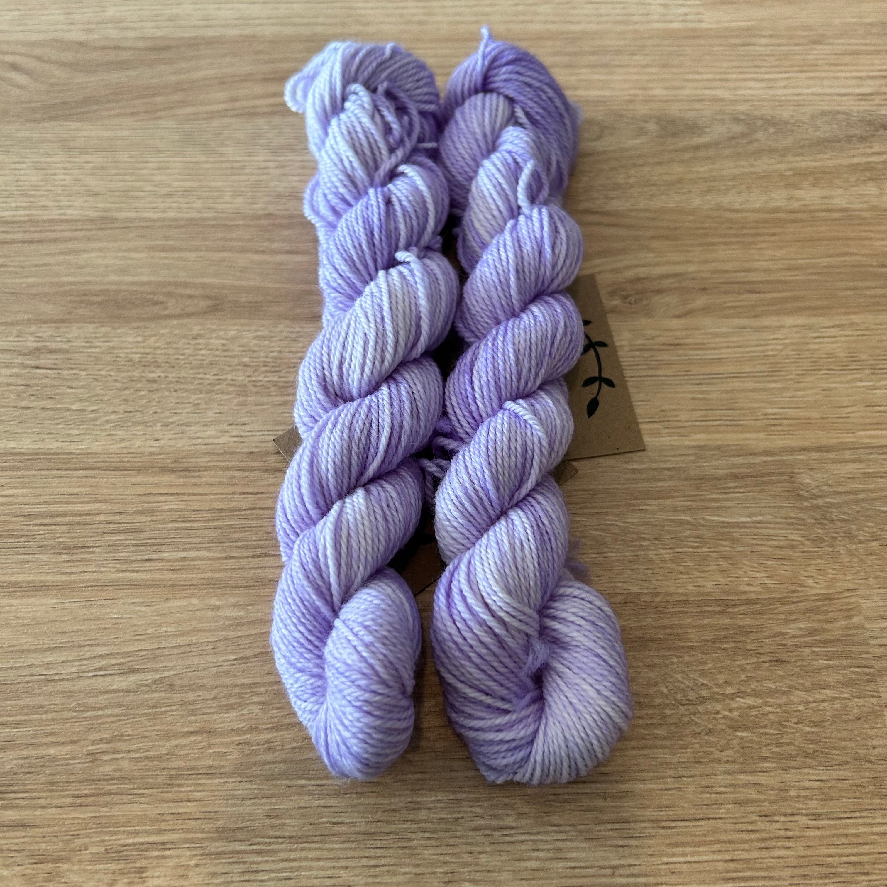 Lichen and Lace 80/20 Sock -  Mini Skeins