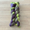 Lichen and Lace 80/20 Sock -  Mini Skeins