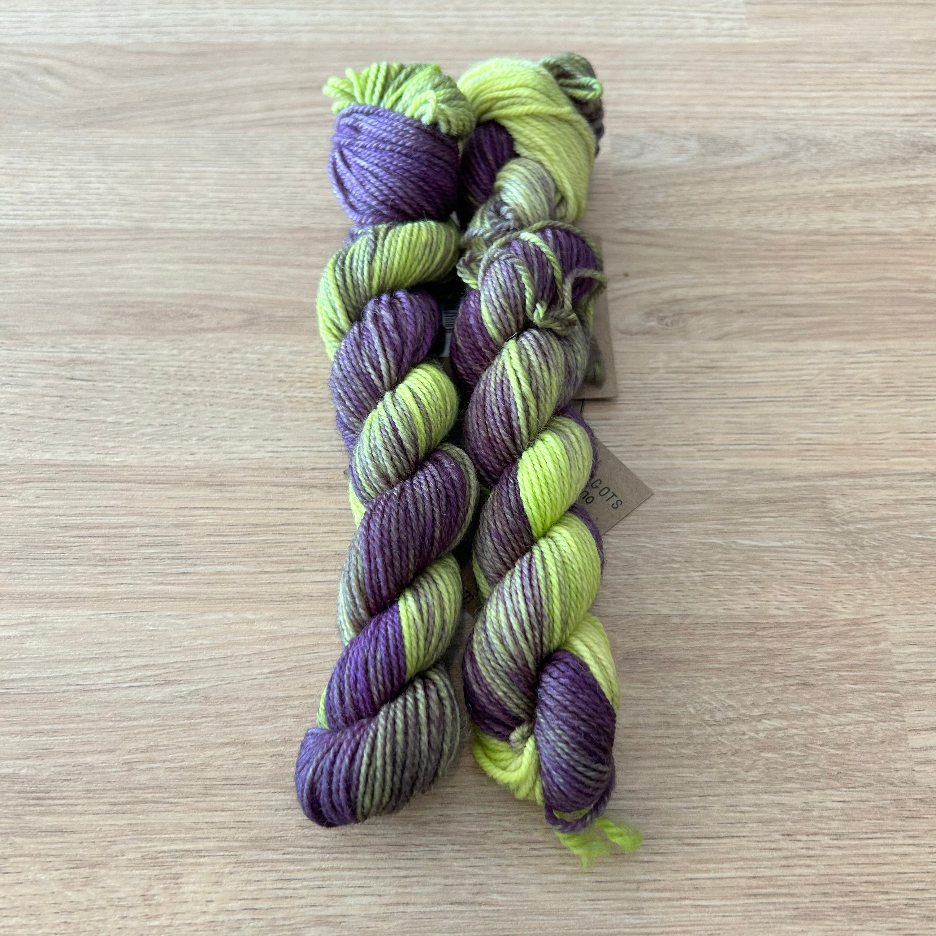 Lichen and Lace 80/20 Sock -  Mini Skeins