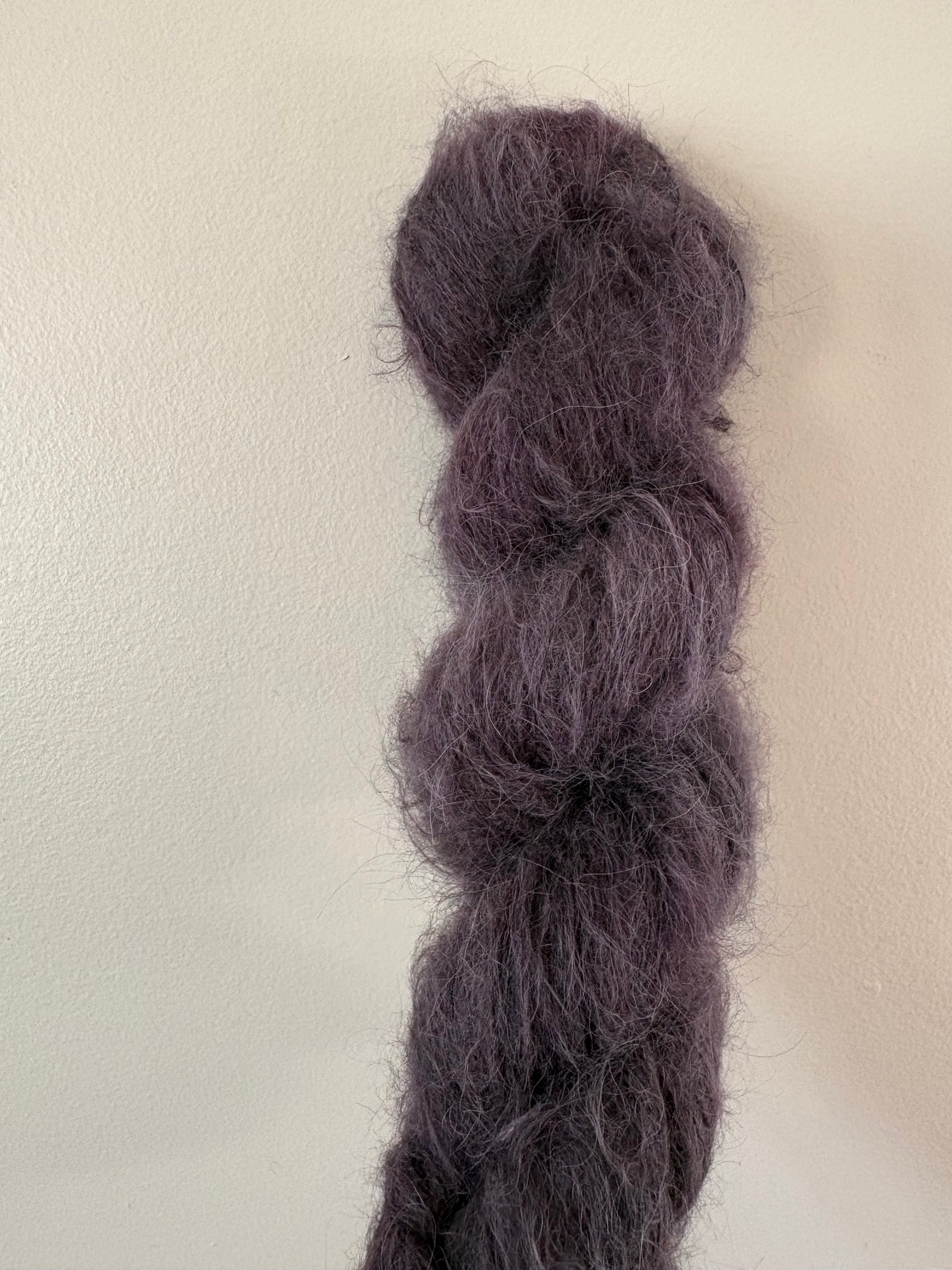 Bulldog x Bramble Halo Hound