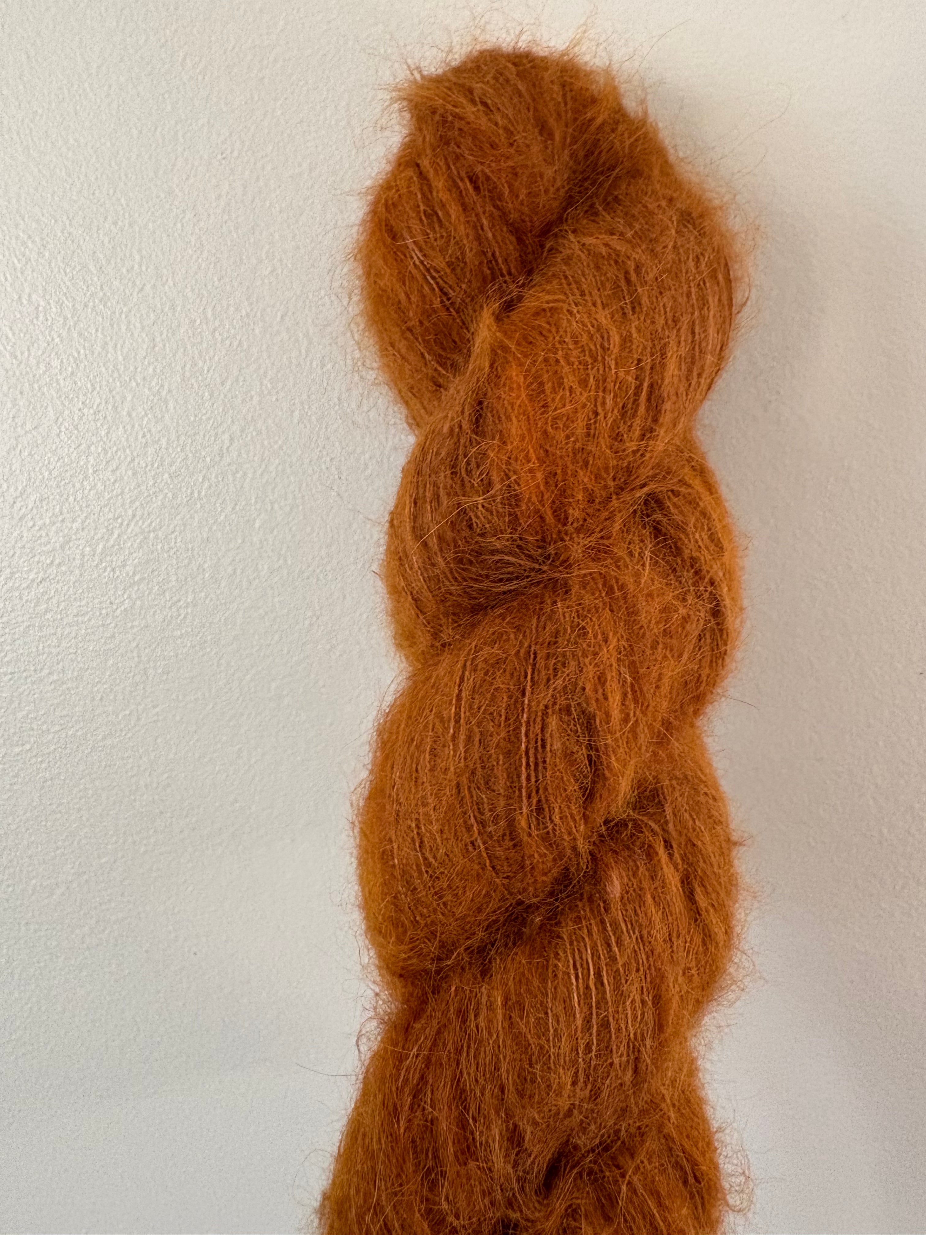 Bulldog x Bramble Halo Hound
