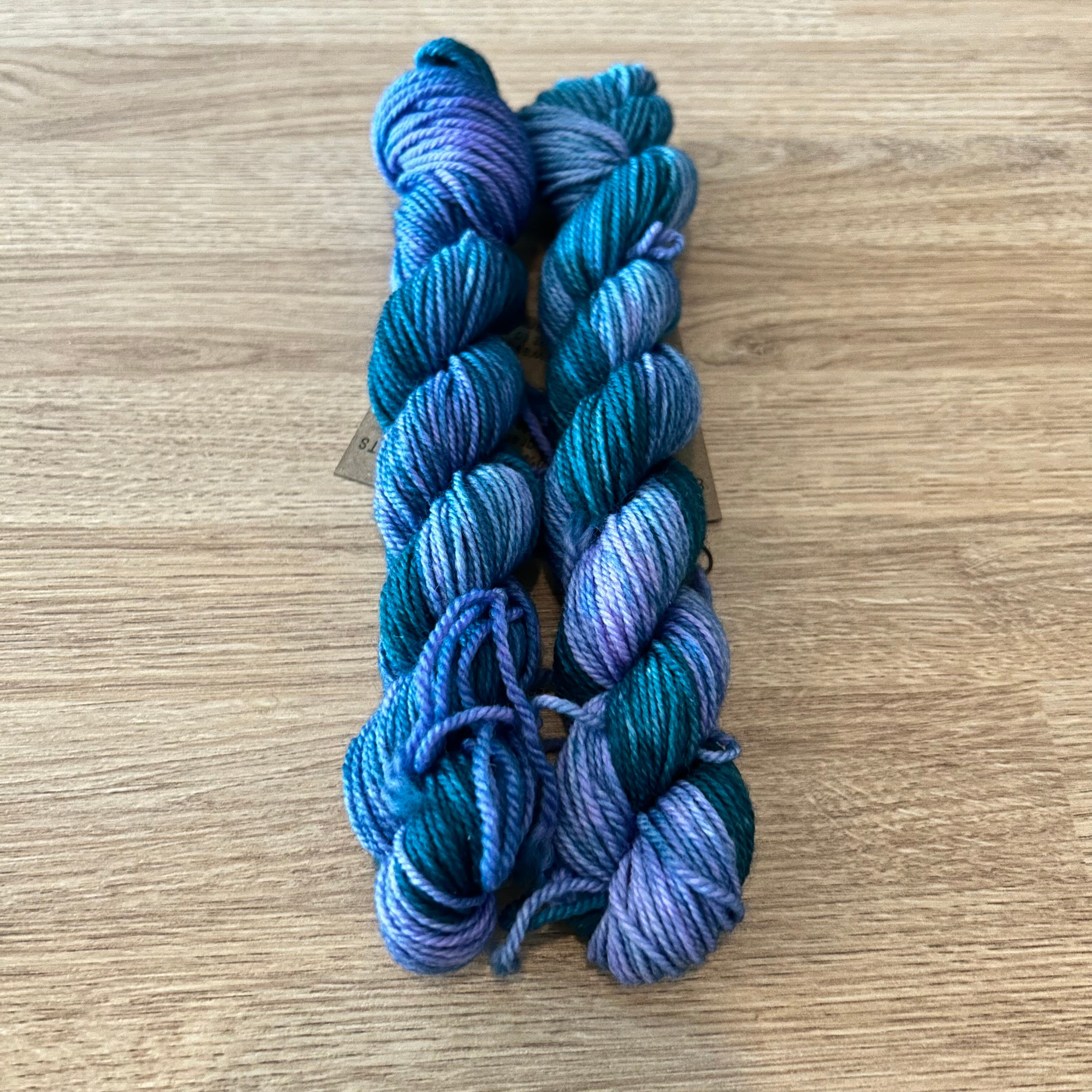 Lichen and Lace 80/20 Sock -  Mini Skeins