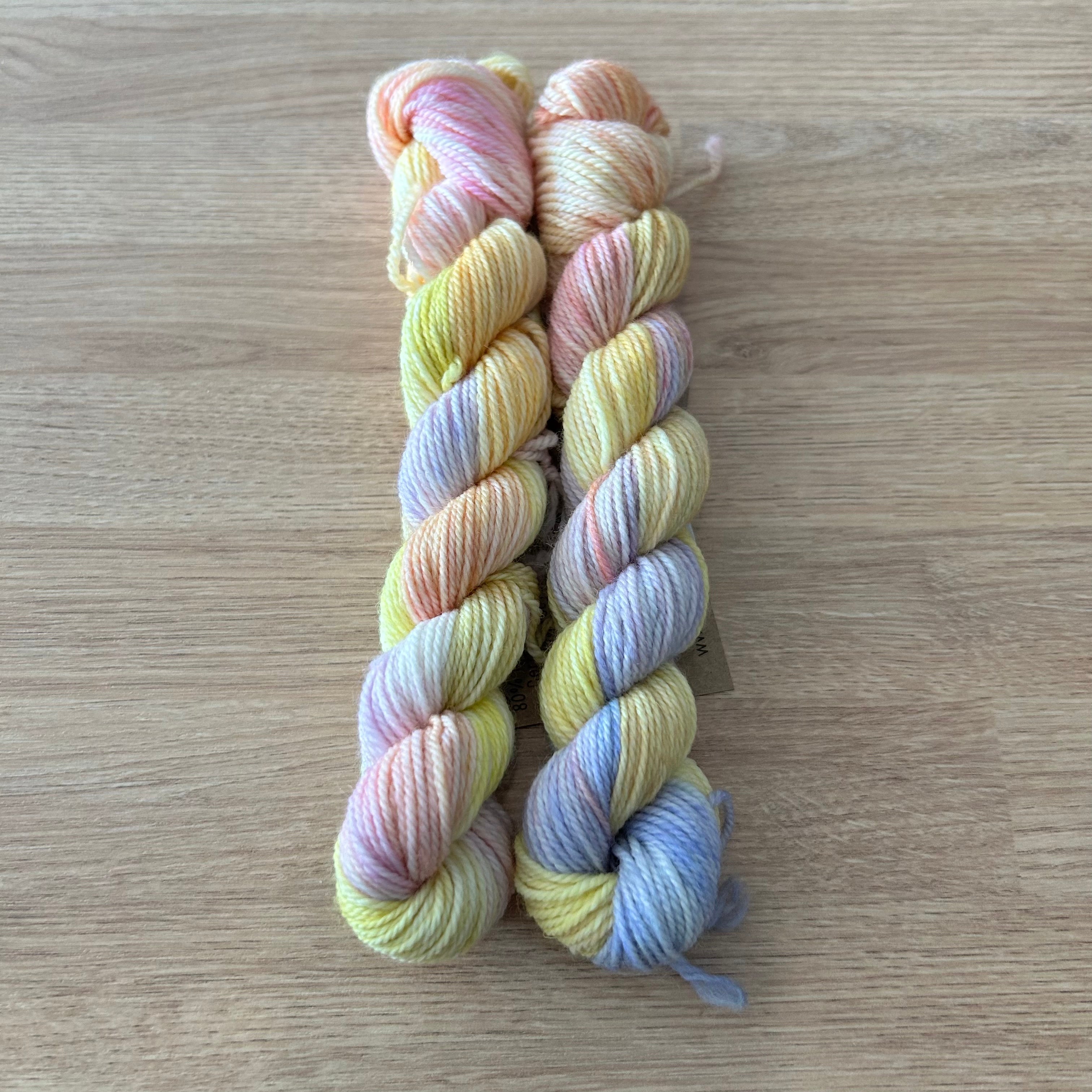 Lichen and Lace 80/20 Sock -  Mini Skeins