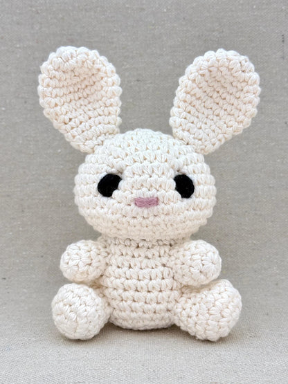 Emm and Skootch DIY Eco Friendly Crochet Kits