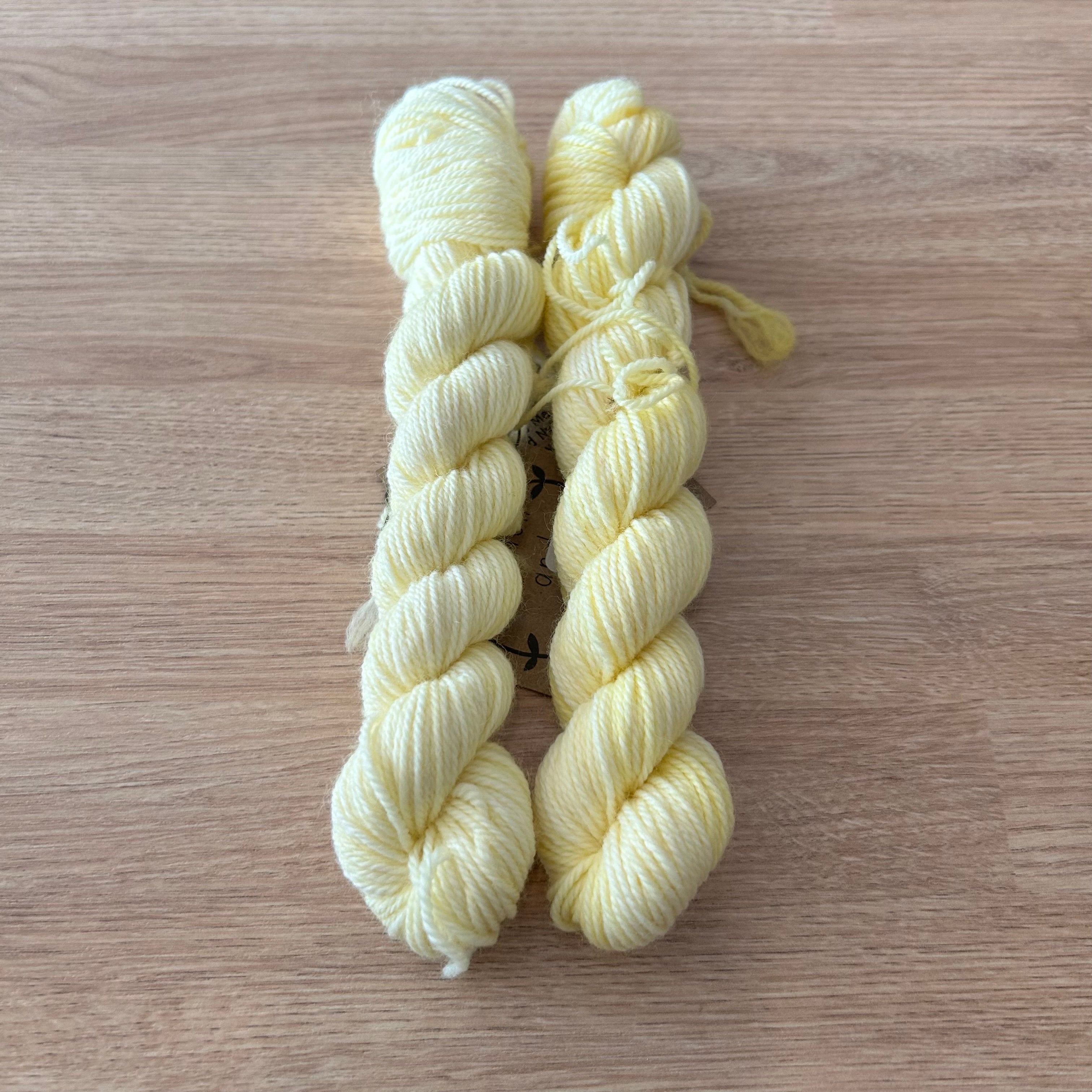 Lichen and Lace 80/20 Sock -  Mini Skeins