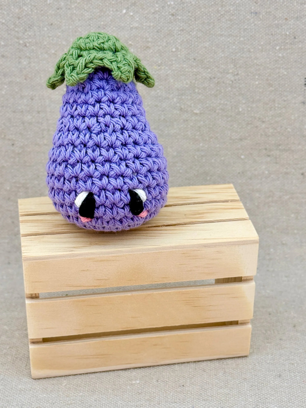 Emm and Skootch DIY Eco Friendly Crochet Kits
