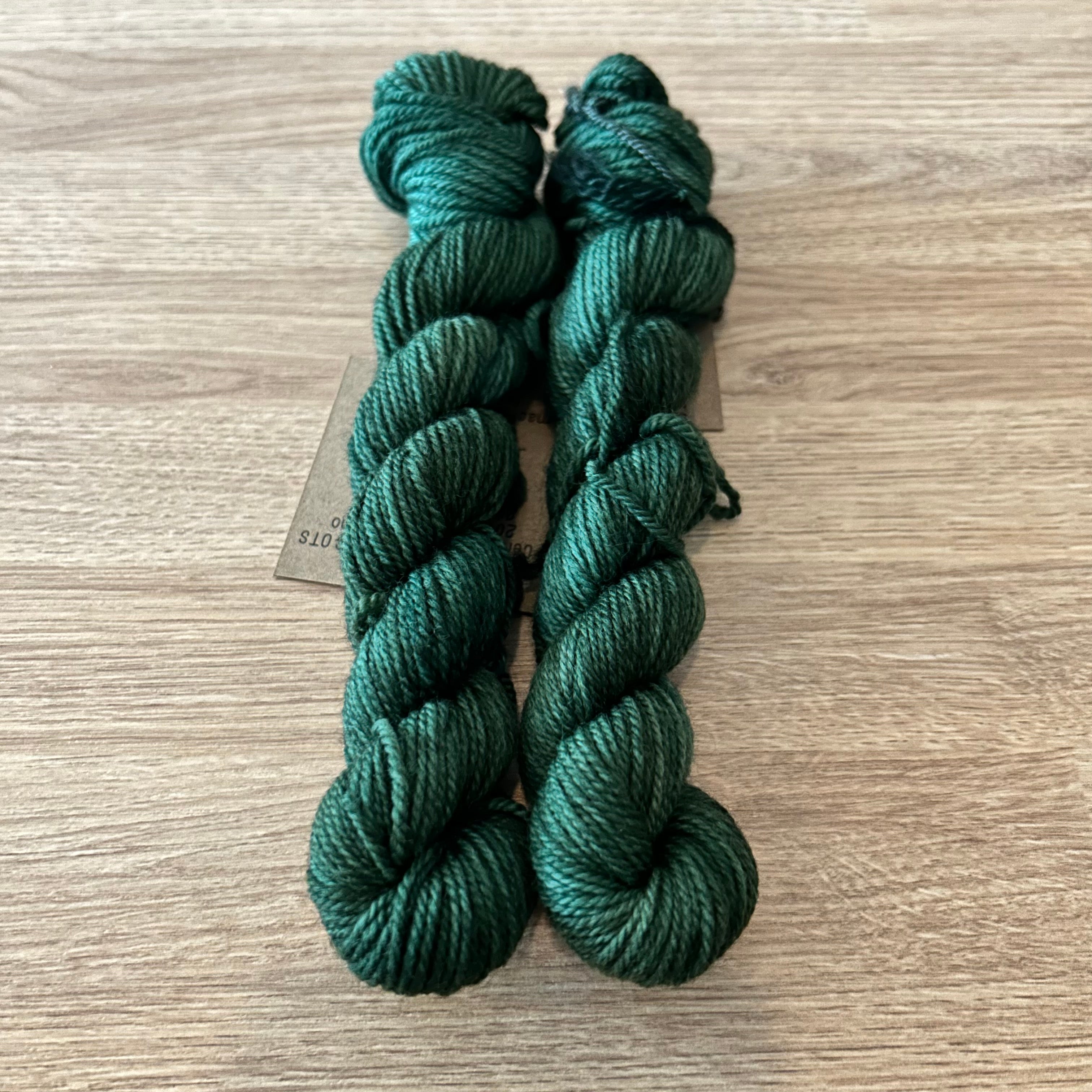 Lichen and Lace 80/20 Sock -  Mini Skeins