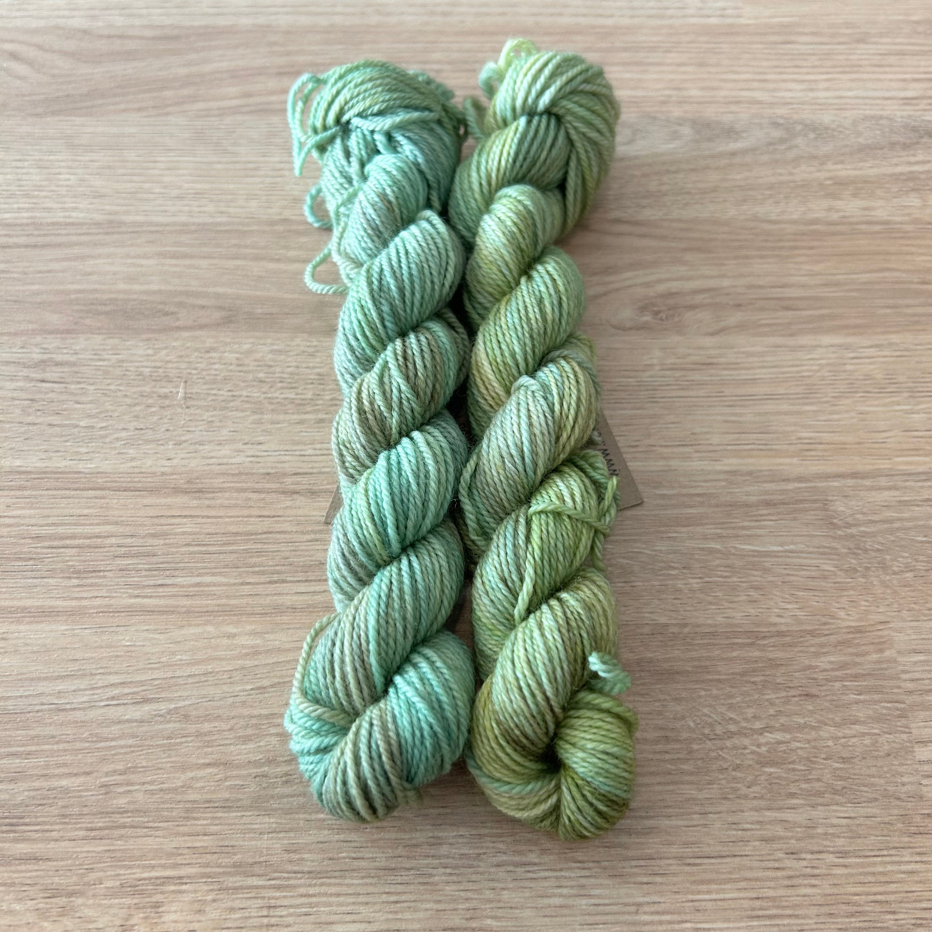 Lichen and Lace 80/20 Sock -  Mini Skeins