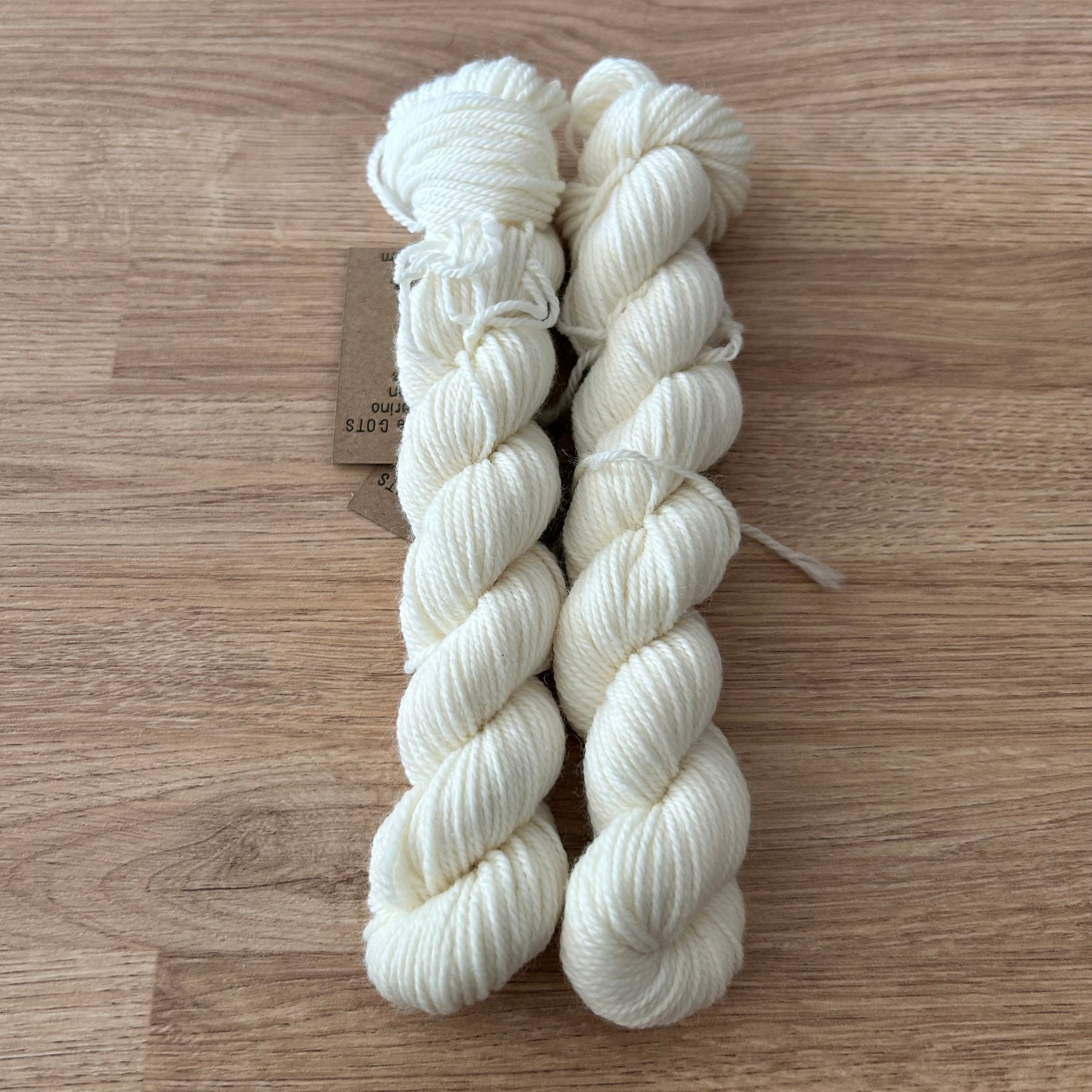 Lichen and Lace 80/20 Sock -  Mini Skeins