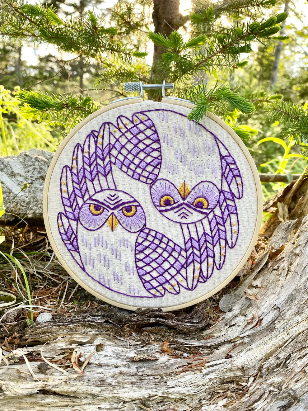 Burrowing Owls Complete Embroidery Kit