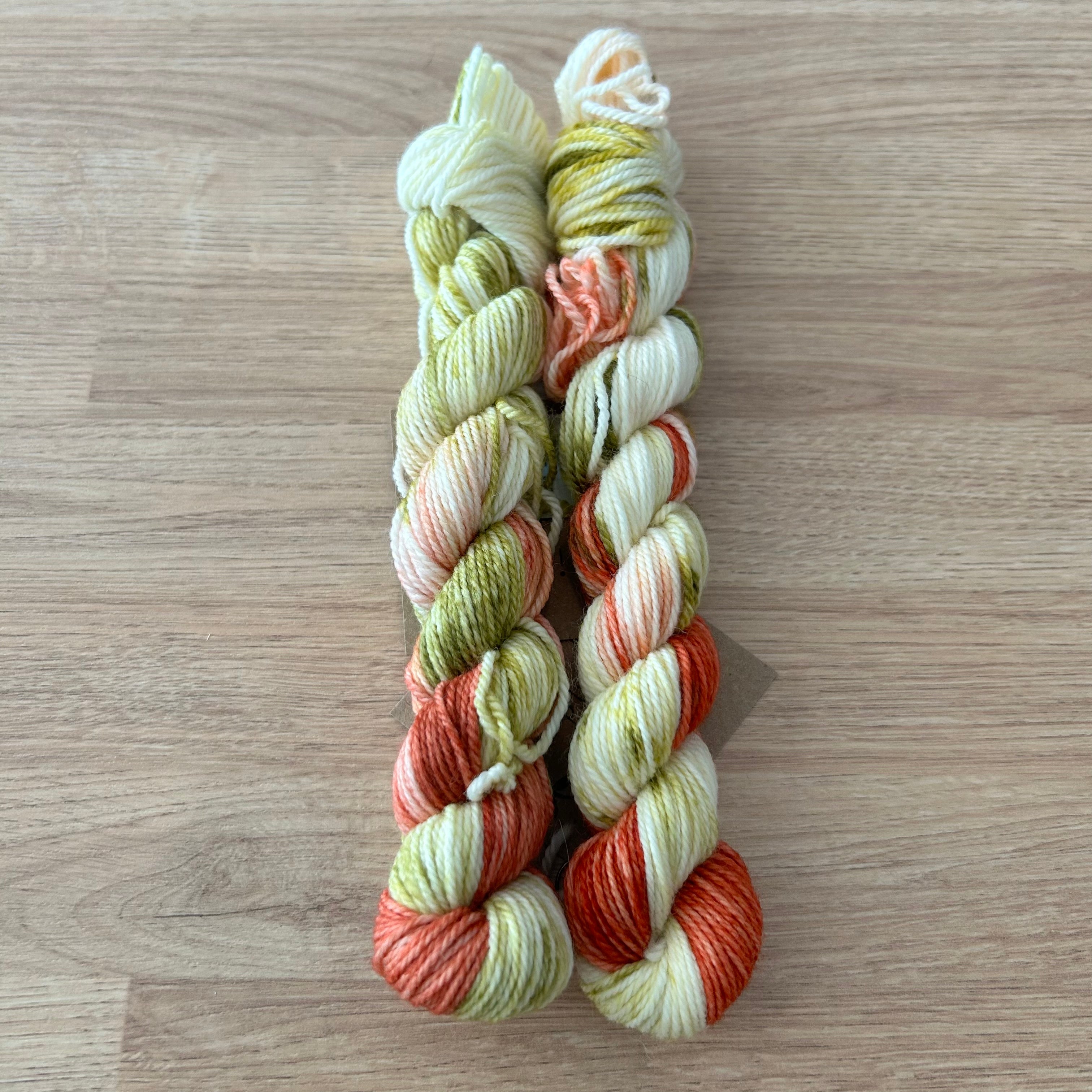 Lichen and Lace 80/20 Sock -  Mini Skeins