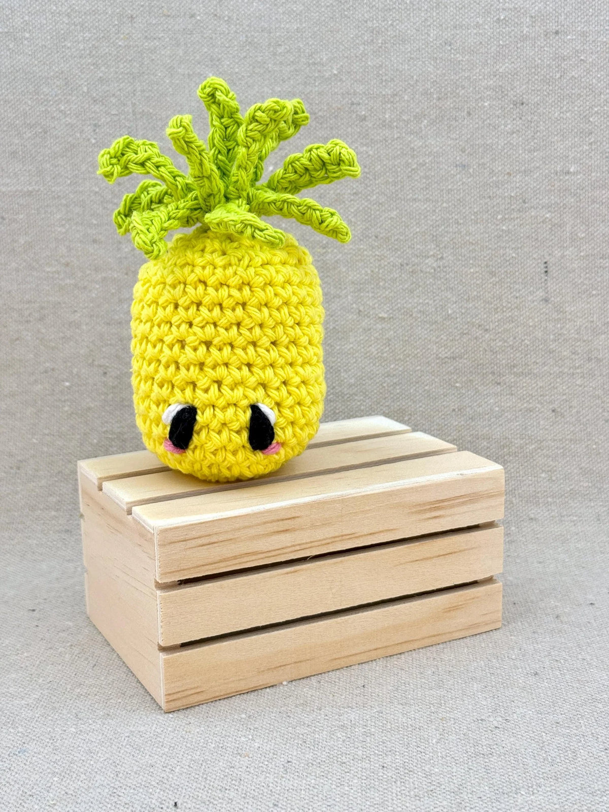 Emm and Skootch DIY Eco Friendly Crochet Kits