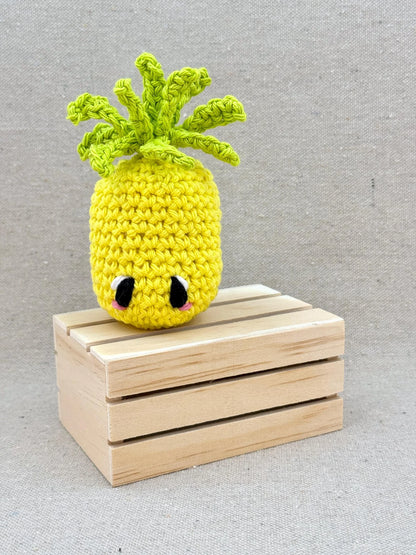 Emm and Skootch DIY Eco Friendly Crochet Kits