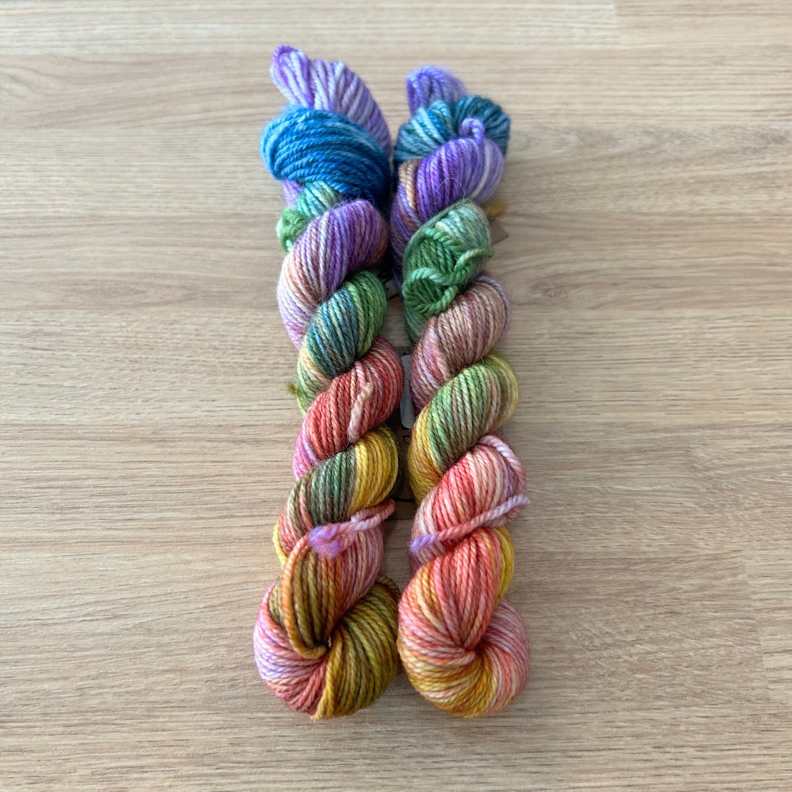 Lichen and Lace 80/20 Sock -  Mini Skeins