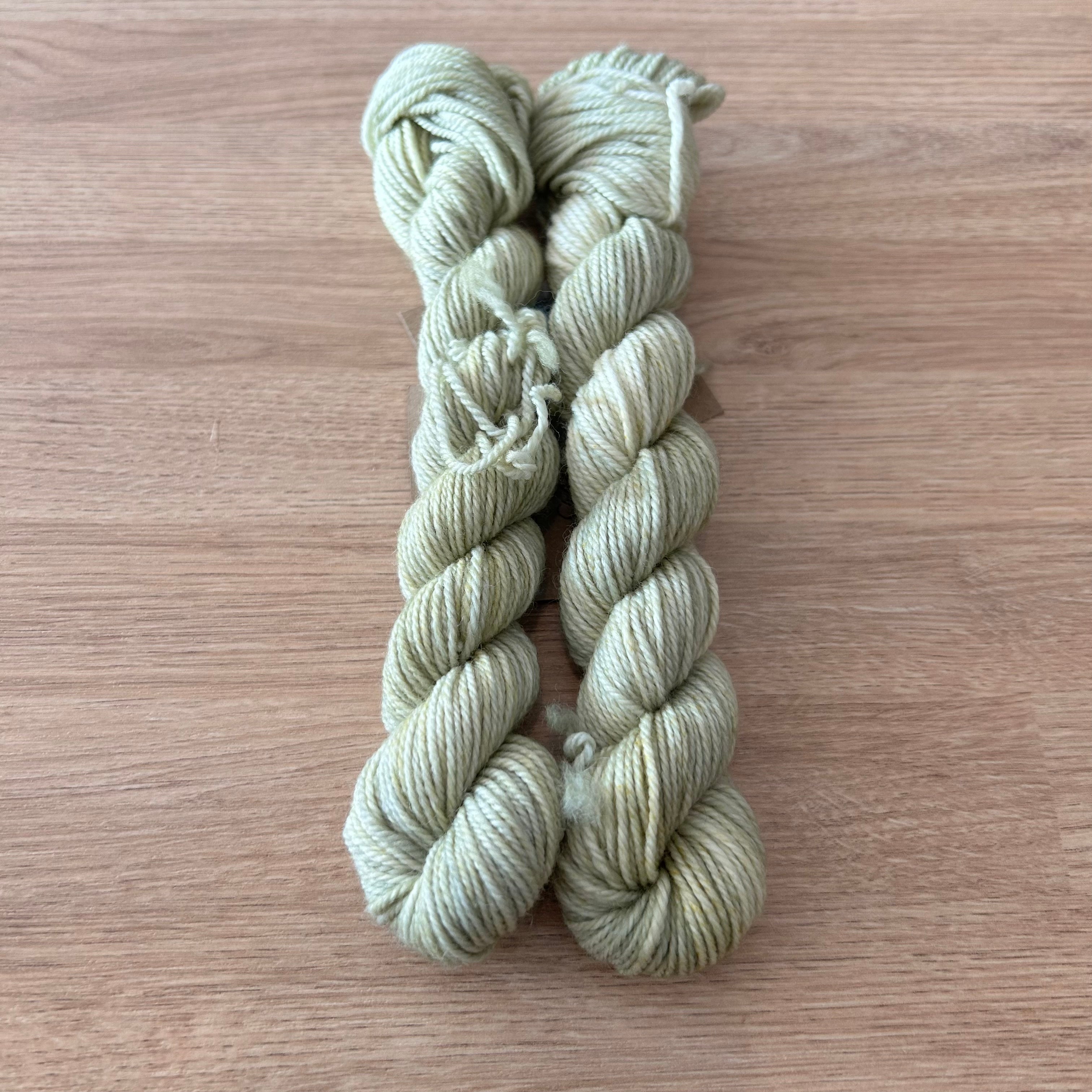 Lichen and Lace 80/20 Sock -  Mini Skeins