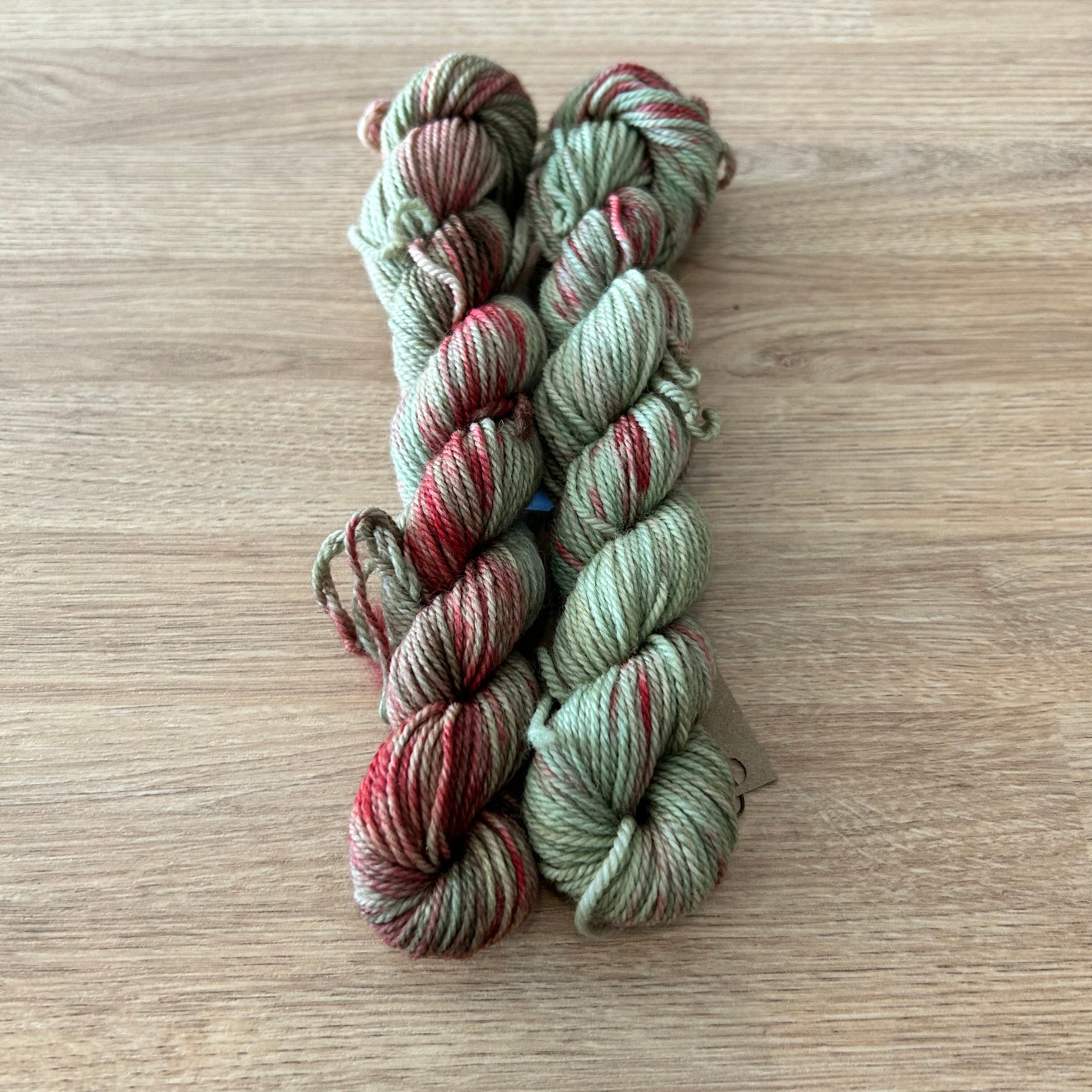 Lichen and Lace 80/20 Sock -  Mini Skeins