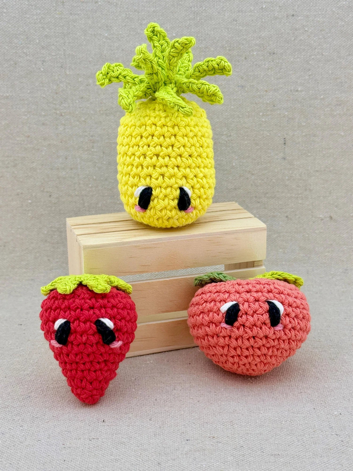 Emm and Skootch DIY Eco Friendly Crochet Kits