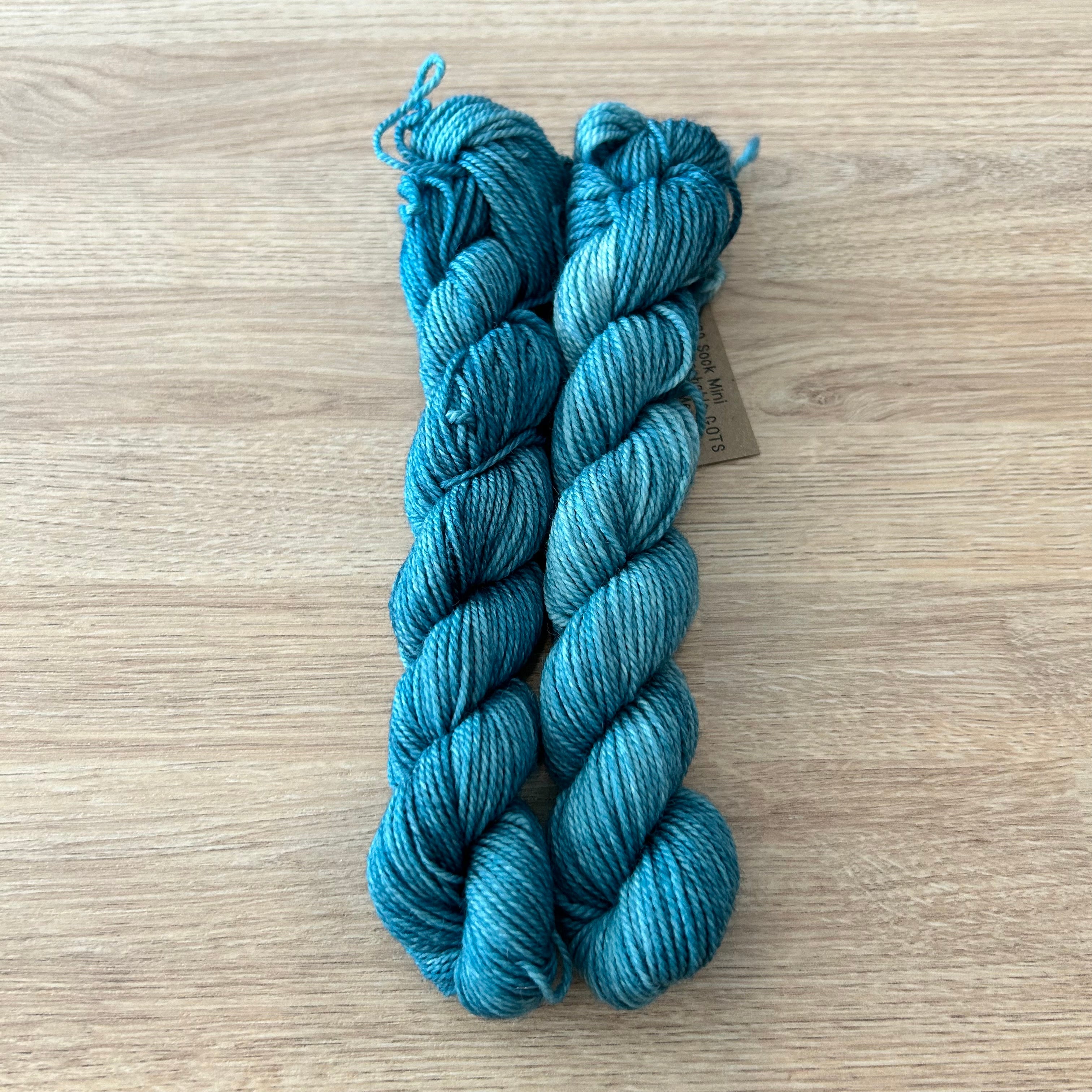 Lichen and Lace 80/20 Sock -  Mini Skeins