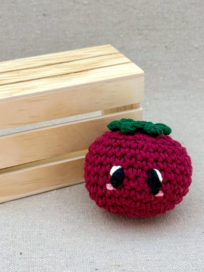 Emm and Skootch DIY Eco Friendly Crochet Kits