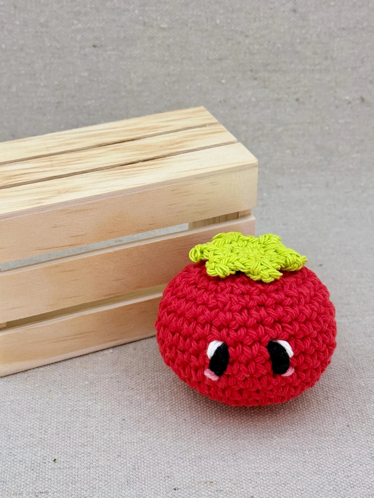 Emm and Skootch DIY Eco Friendly Crochet Kits